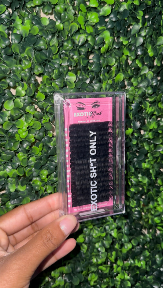 Cashmere Mixed Lash Trays